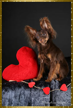   Precious Heart